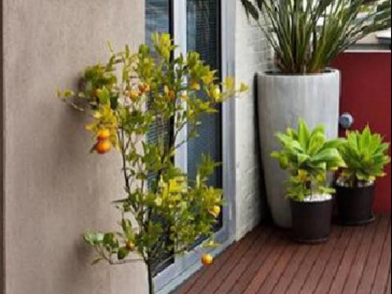 Twofourtwo Boutique Apartments Лонсестон Экстерьер фото